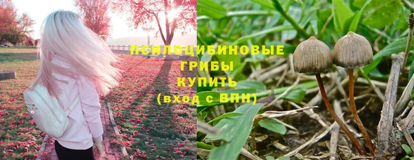 прущая мука Медвежьегорск