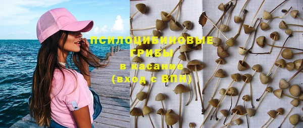 2c-b Зеленодольск