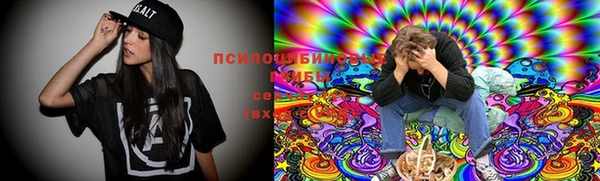 прущая мука Медвежьегорск