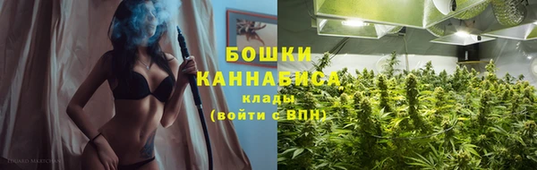 мдпв Мегион