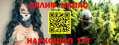 хмурый Бийск