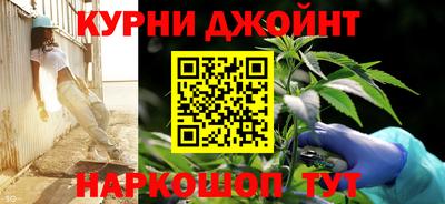 мяу мяу мука Беслан