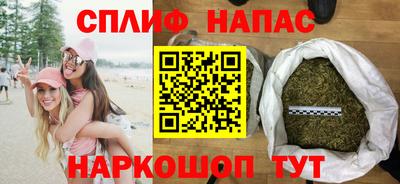 мяу мяу мука Беслан