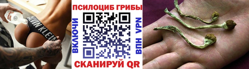 Псилоцибиновые грибы прущие грибы  Пушкино 