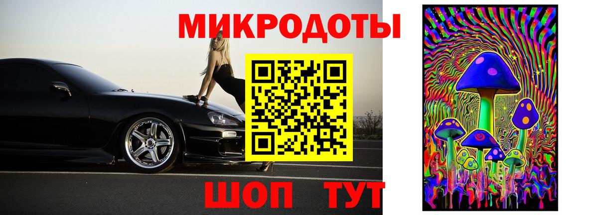 где купить наркоту  Галлюциногенные грибы Magic Shrooms  Пушкино  Псилоцибиновые грибы Psilocybe 