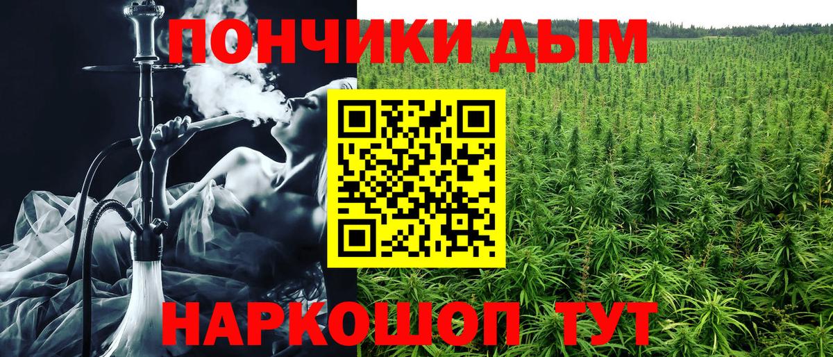 Конопля семена  Пушкино  Бошки Шишки конопля  Бошки марихуана Ganja 